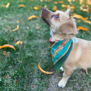 Pet Kerchief Bandana