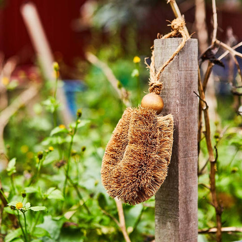 Gardener’s Brush, All Natural, Handmade