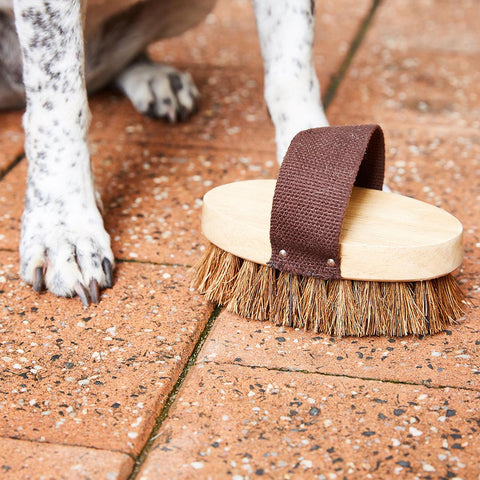 Dog Grooming Brush | All Natural