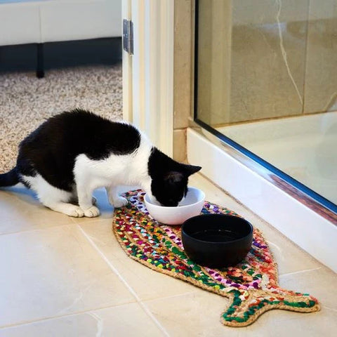 Eco Friendly Pet Bowl Mat