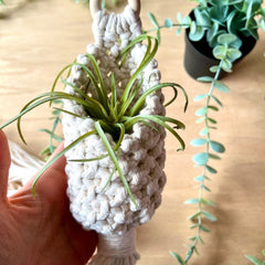 Macrame Pods Pocket Hanger
