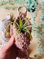 Macrame Pods Pocket Hanger