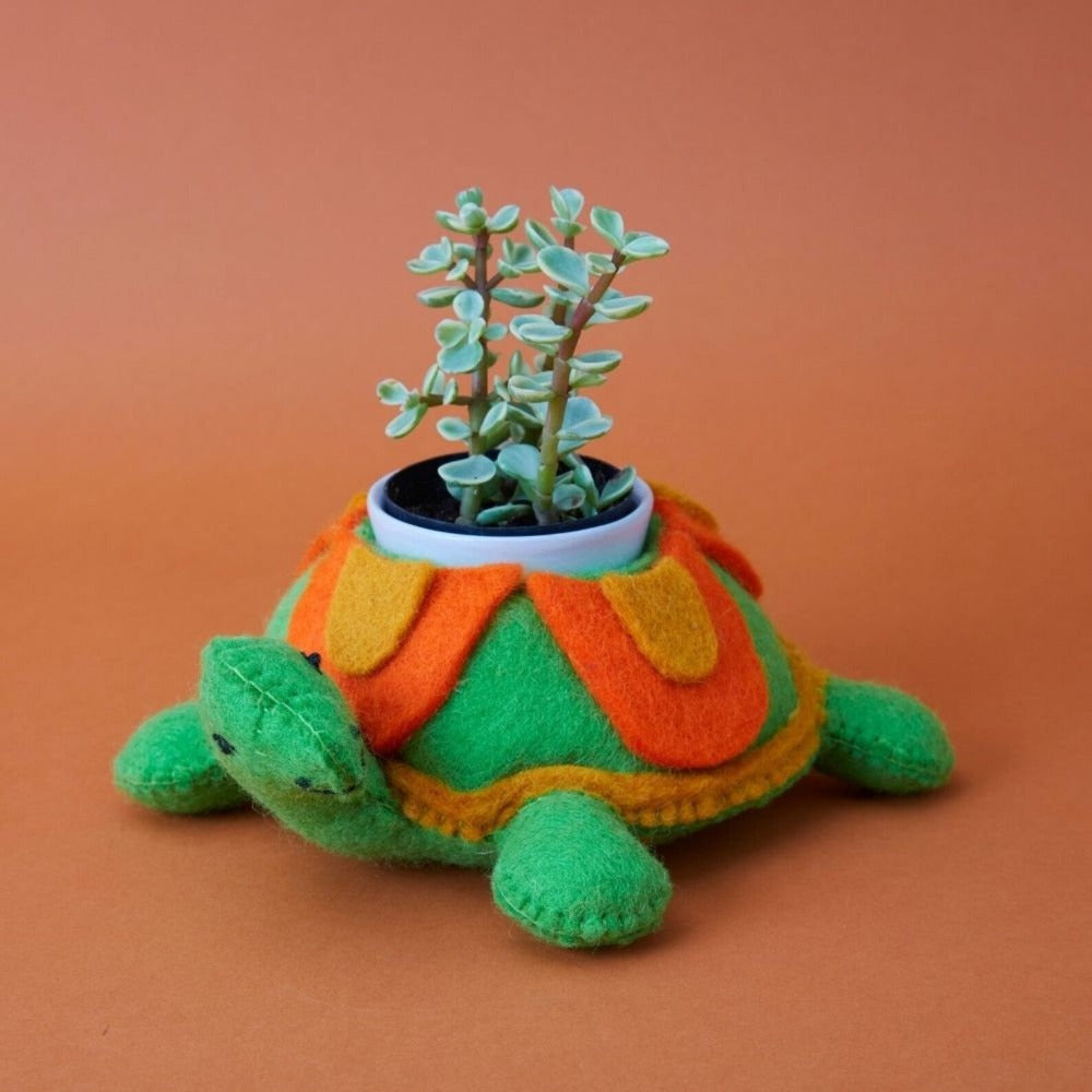turtle succulent holder Whimsical Tortoise