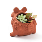 Terracotta Frog Planter