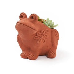 Terracotta Frog Planter